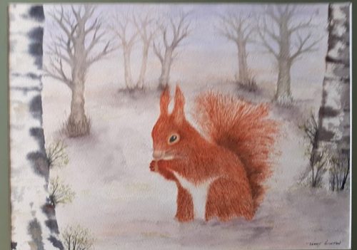 Terry, Squirrel out of lockdown, watercolour.